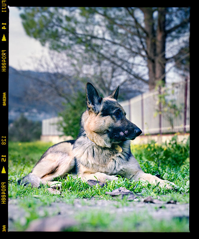 rz_fuji_HP400PRO_de.jpg