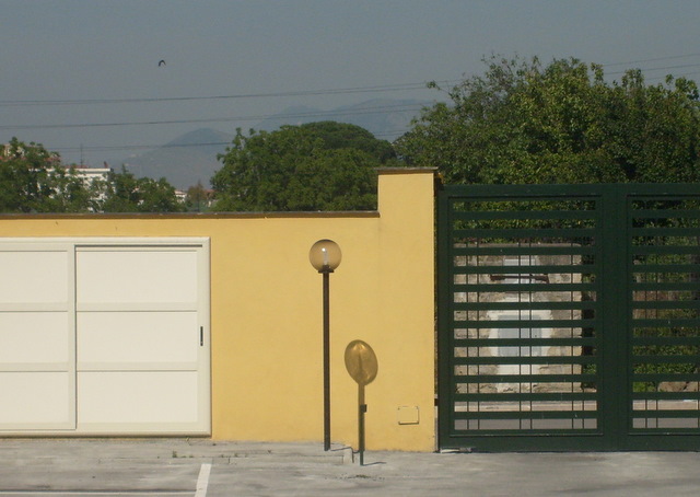 S6302665-2.JPG