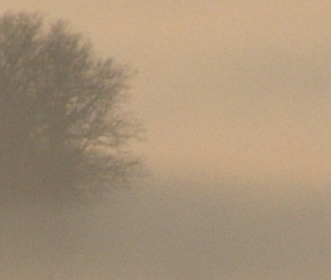 s7raw.jpg