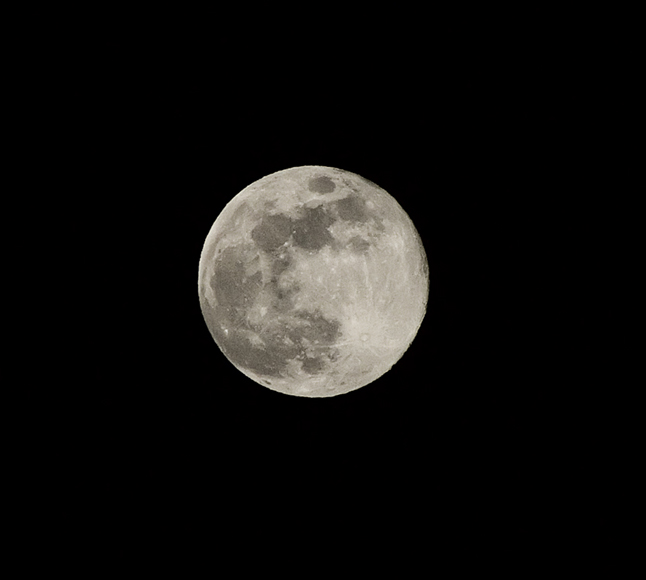 s9600.jpg