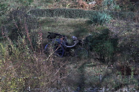 S_Takumar_200_f8.jpg