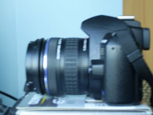 SA400029.JPG