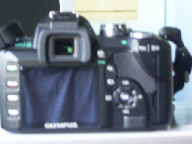 SA400030.JPG