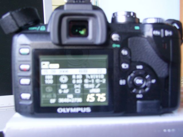 SA400032.JPG