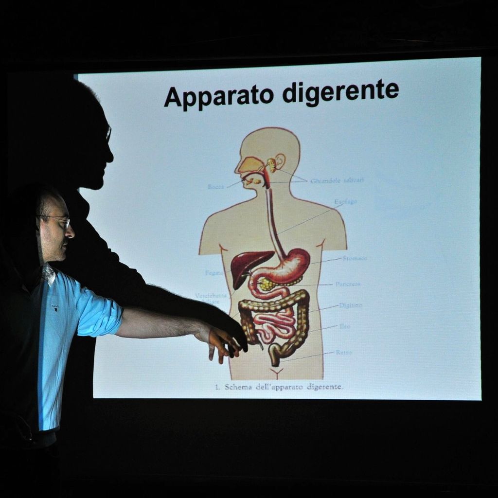 sac2.jpg