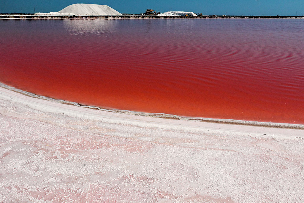 Saline-013---AU0Z5633-copia.jpg