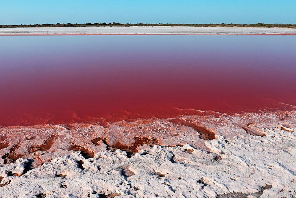 Saline-016---AU0Z5689-copia.jpg