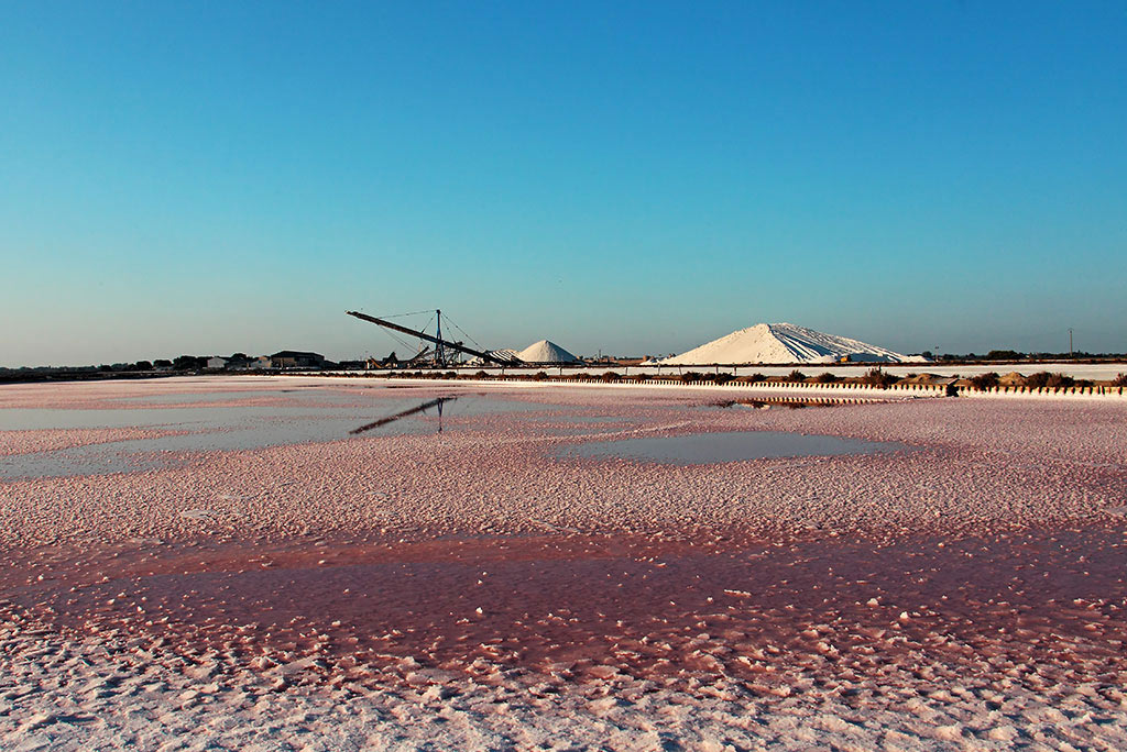 Saline-017---AU0Z5698-copia.jpg