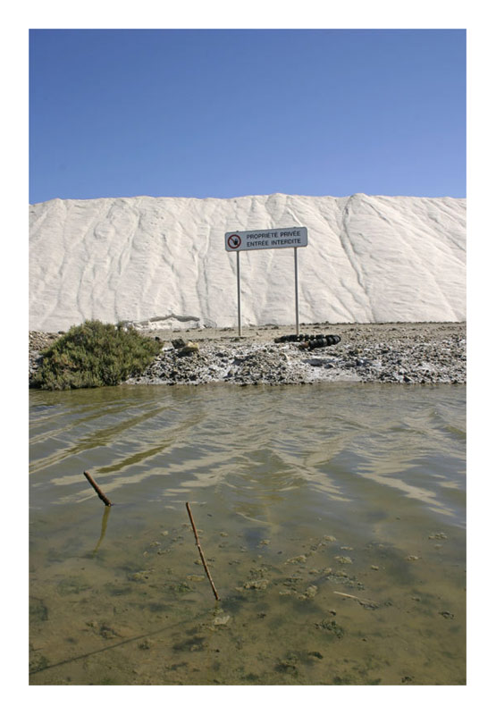 saline03.jpg