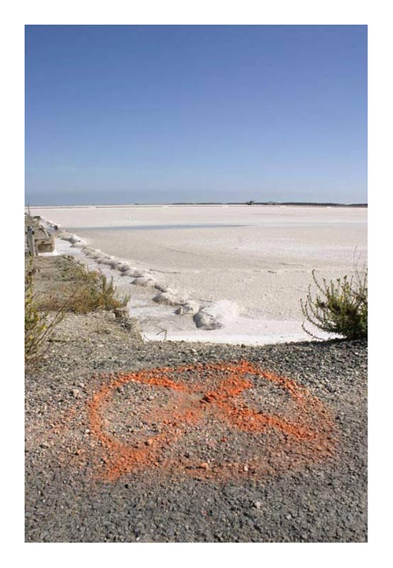 saline05.jpg