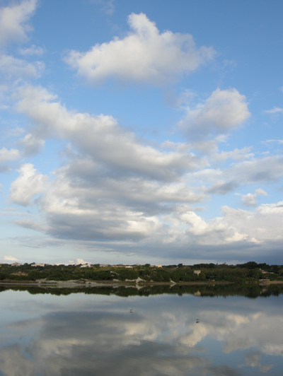 SALINE_215.jpg