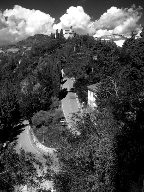 salno-tor.jpg