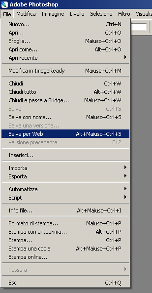 salva.jpg