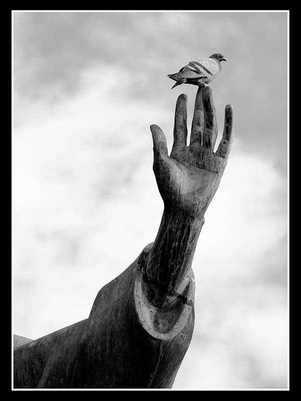San francesco BW.jpg