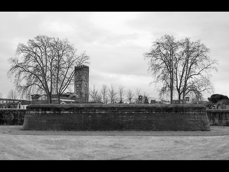 san frediano 2 copy.jpg