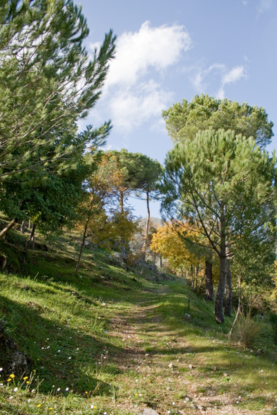 san martno 065.jpg