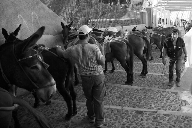 Santorini 2012  9020 - Version 3 (1 of 1).jpg