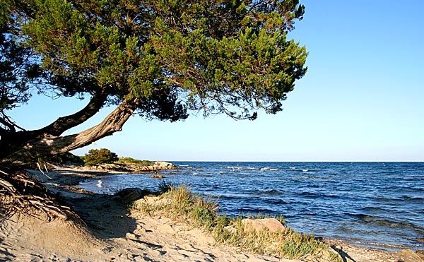 Sardegna.jpg