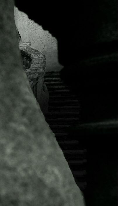 scale2_2.jpg