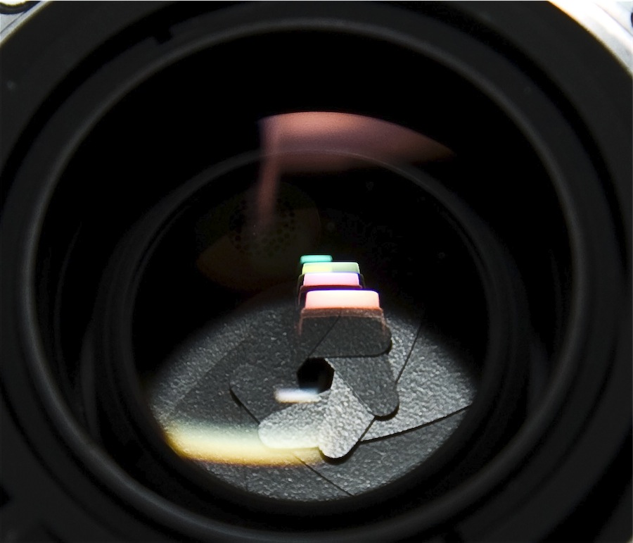 Scaled Image 5.jpg