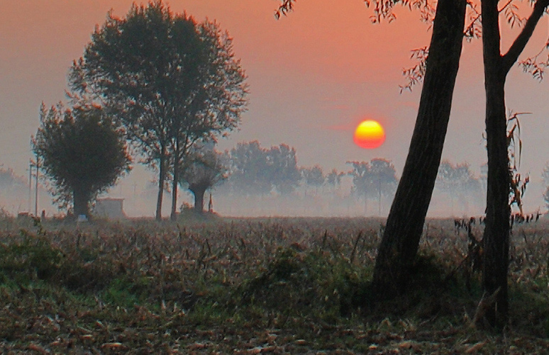 Scalenghe_IMG_6140_0_Crop.jpg