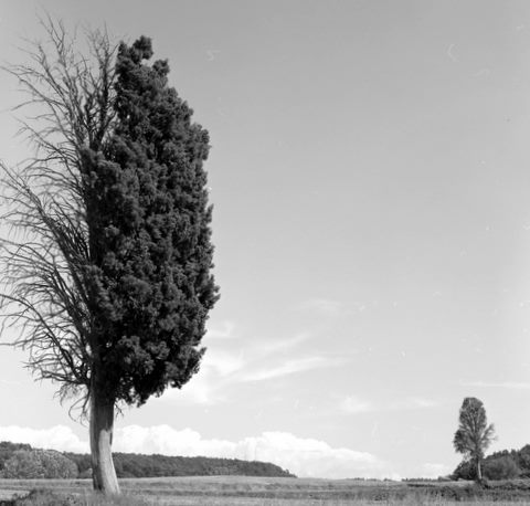 Scan-070714-0018.jpg