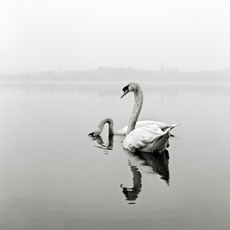 Scan-110220-0004edit.jpg