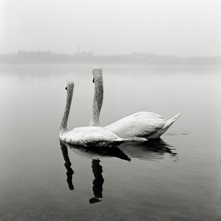 Scan-110220-0005edit.jpg
