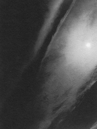 Scan1910080013.JPG