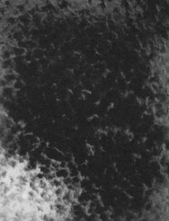 Scan1910080014.JPG
