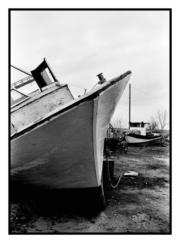 scans-bn-2-web-rid.jpg
