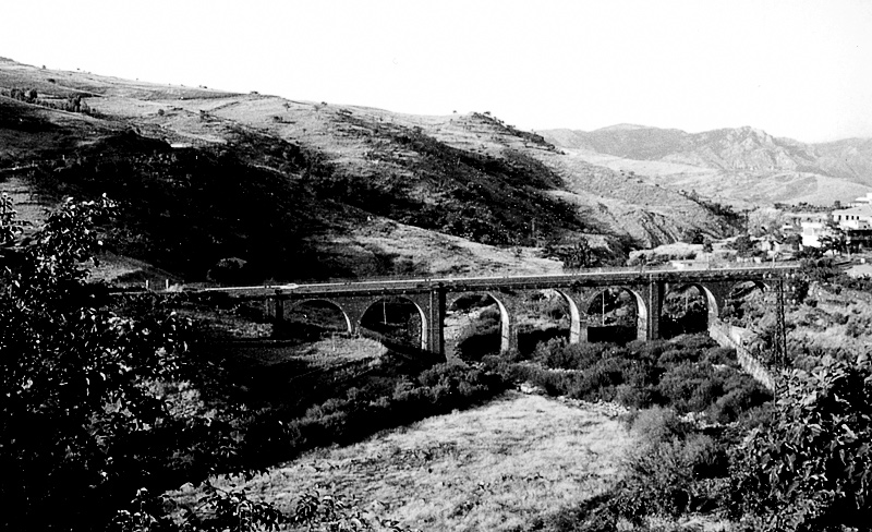 scansione-2.jpg