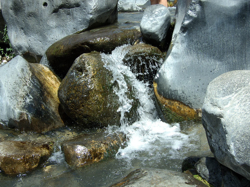 SCF4034.jpg