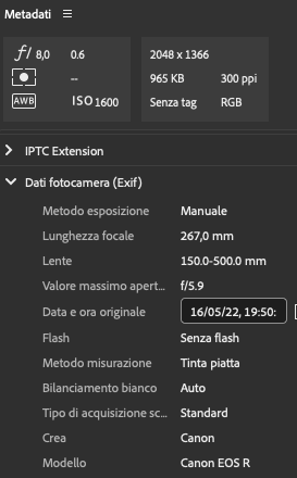 Schermata 2024-06-20 alle 19.28.52.png