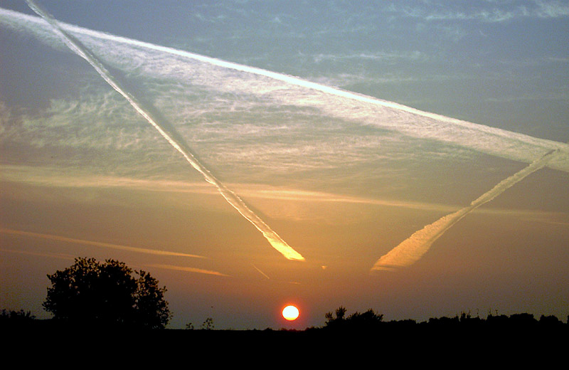 scie.jpg