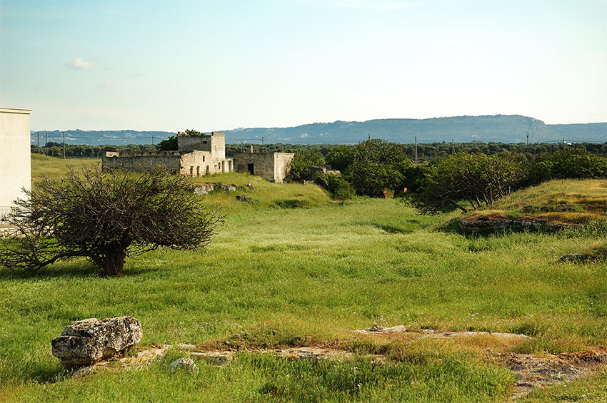 scorcio-35.jpg