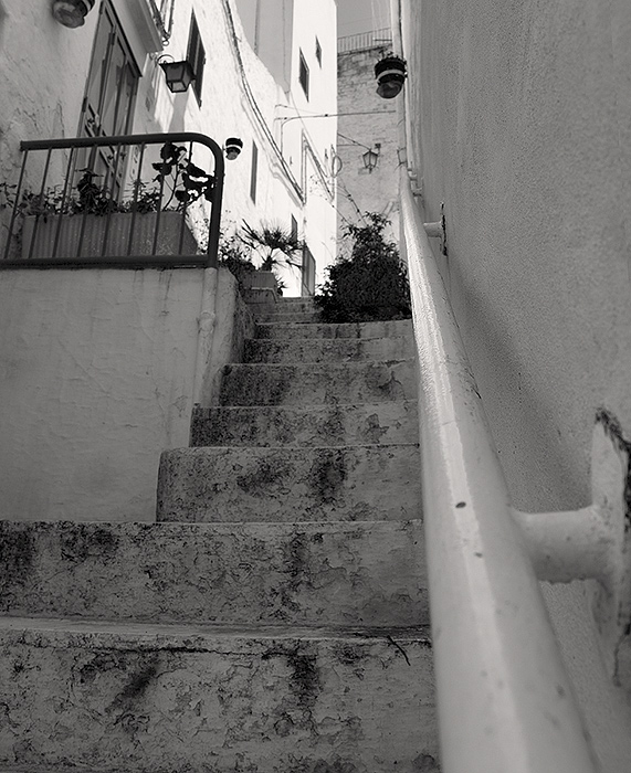 scorcio-7.jpg