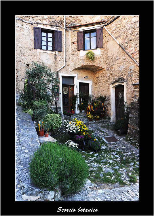 Scorcio-botanico-prov.jpg