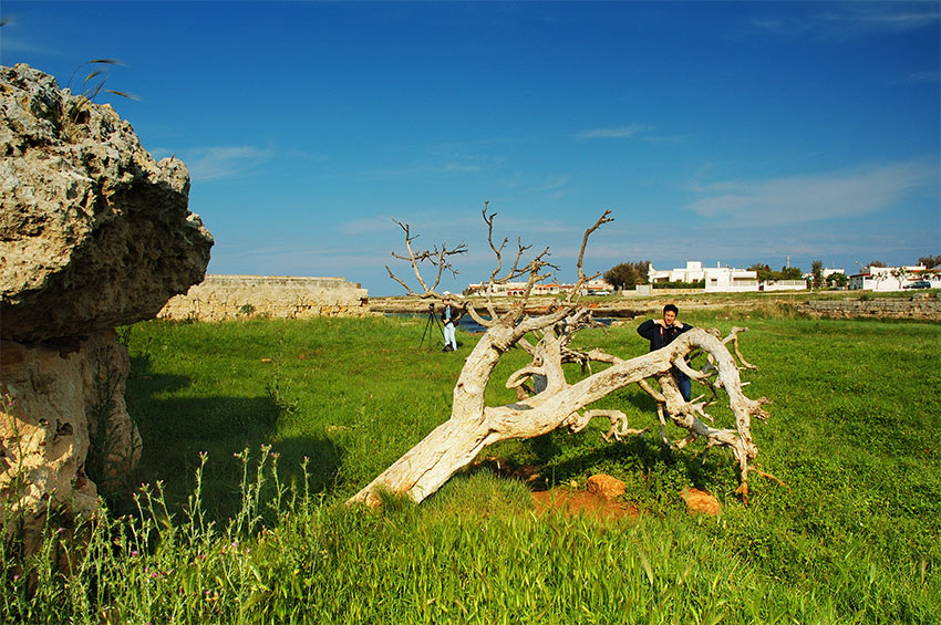 scorcio21.jpg