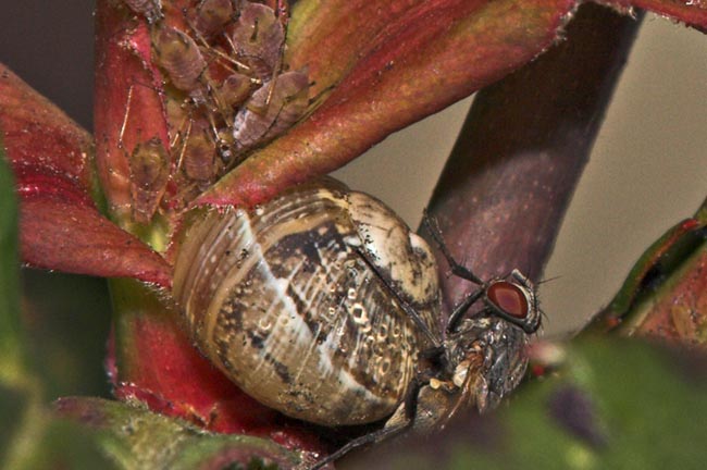 scorcio di novembre_crop.jpg