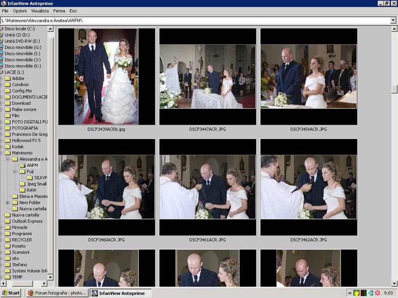 ScreenHunter_003web.jpg