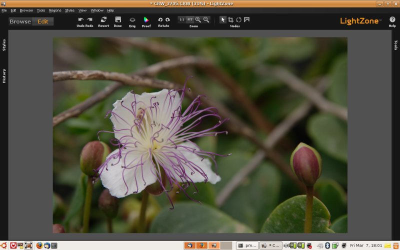 Screenshot-4.jpg