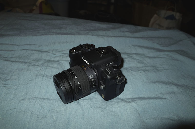 SDIM0139.jpg