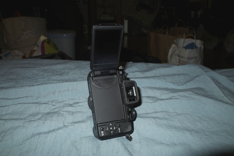 SDIM0141.jpg