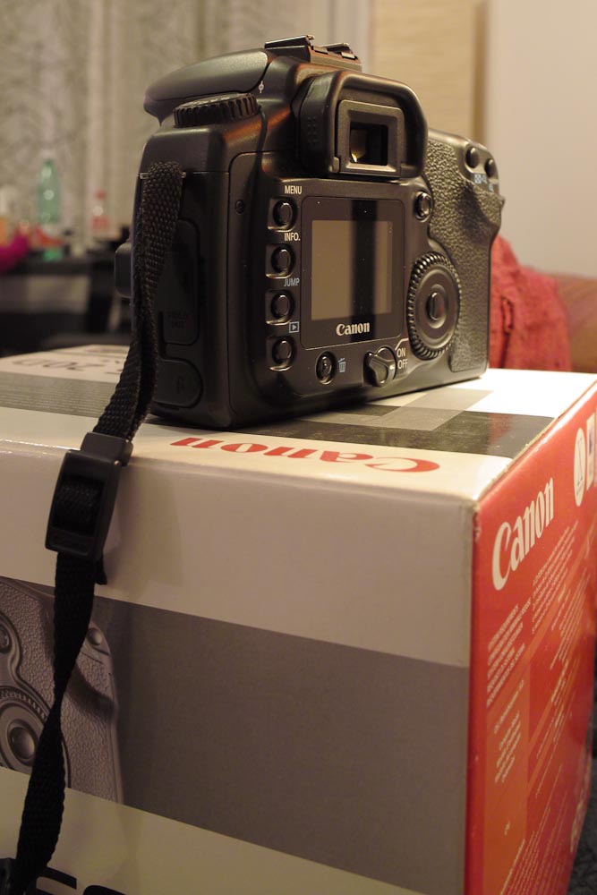 SDIM0271.jpg
