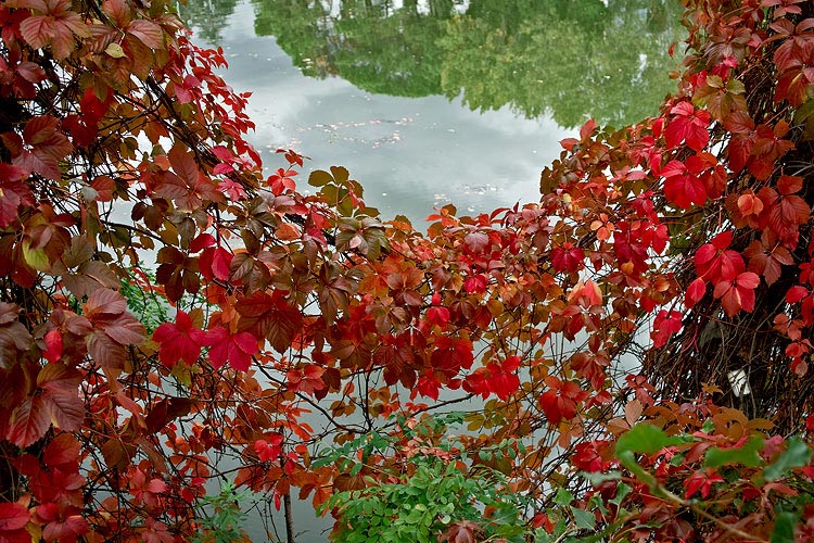 SDIM0955.jpg