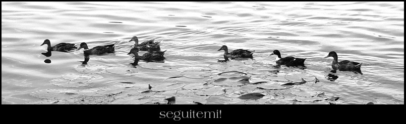 Seguitemi.jpg
