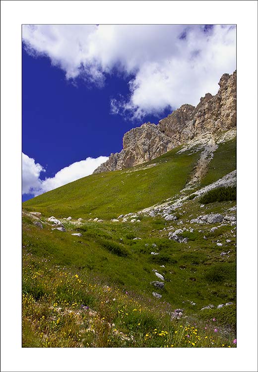 selva_01.jpg