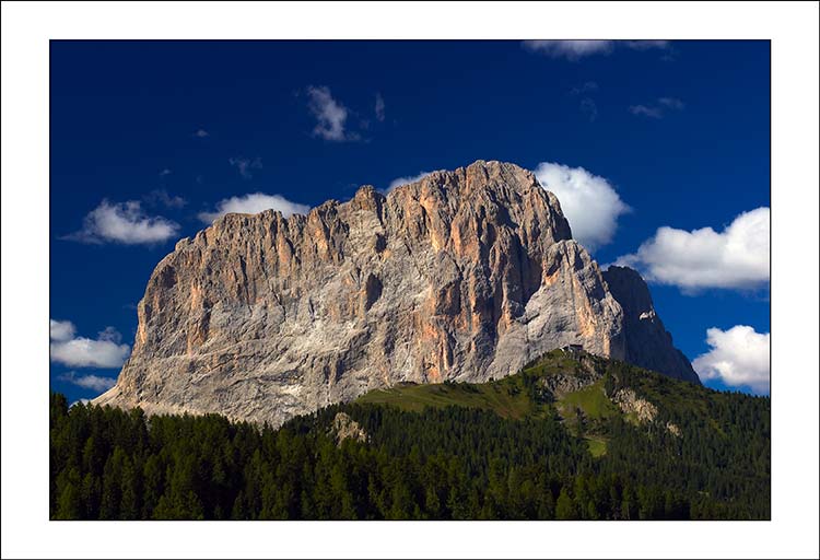 selva_cartolina.jpg
