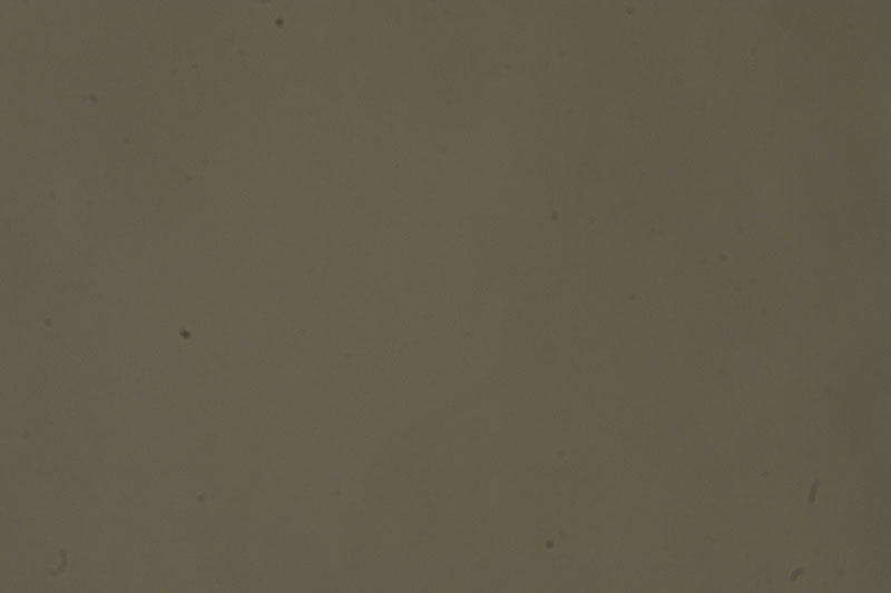 sensore-sporca.jpg